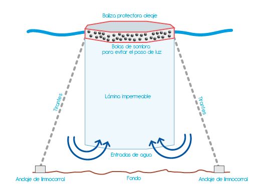 Infografía funcionamiento bolas de sombra dentro de una estructura llamada limnocorral